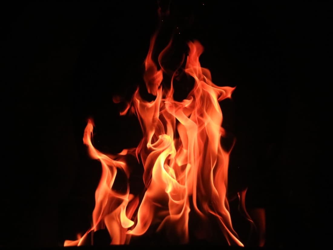 The stove lit, the night still blue behind the big windows.