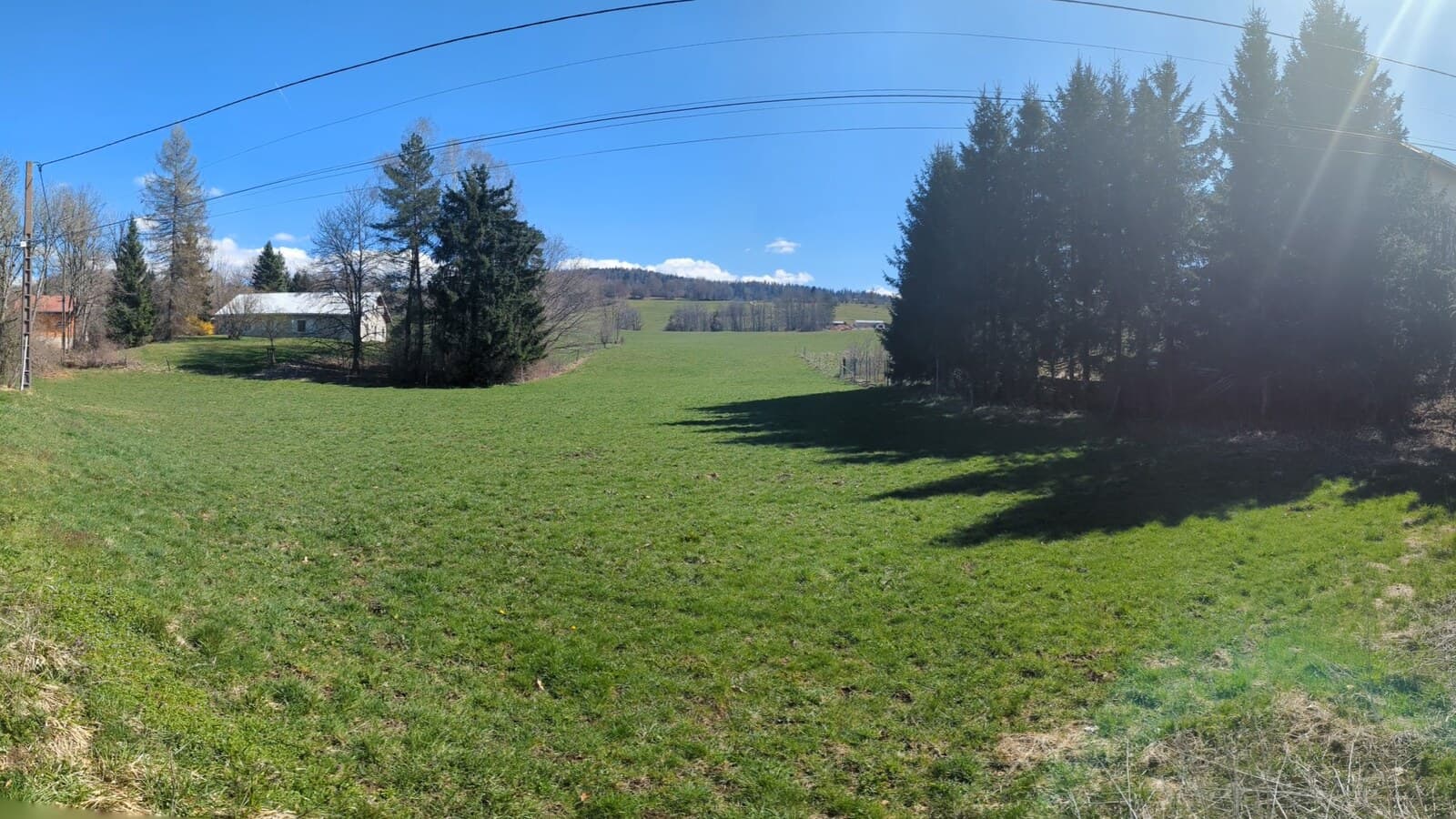 The Saine, somewhere beneath the spruces of Mont Noir.